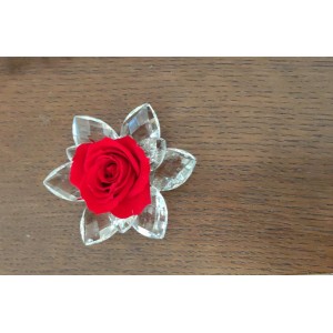 Bomboniera ninfea cristallo 9 petali con rosa